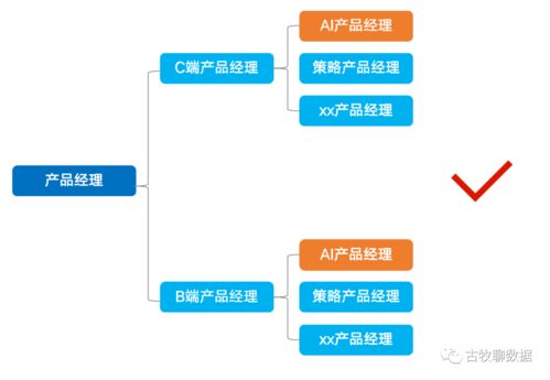 職場不設(shè)限 為何真正的AI產(chǎn)品經(jīng)理如此稀缺？——兼談信息系統(tǒng)運行維護服務(wù)的角色演變